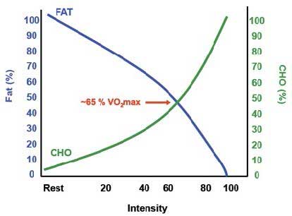 Augmented fat metabolism efficiency