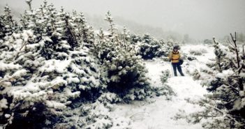 Mystery Ranch Ultra Challenge