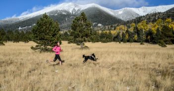 The Mountain Ultra Trail Dogs (MUTS)