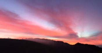 Morning Run