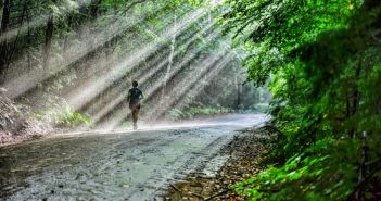 Haliburton Forest Ultra 2016