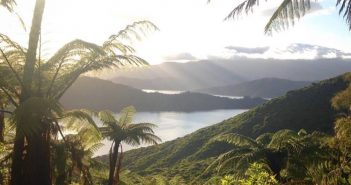 Queen Charlotte Ultramarathon Race Report