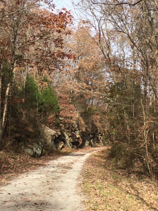 Tunnel Hill 100 2017 Ultra Running Magazine